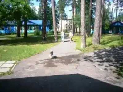 Белое Озеро - 68