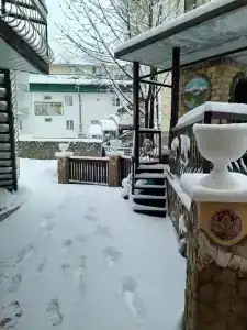 Старый Клен - 20