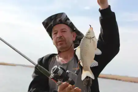 Тихий Причал - 77