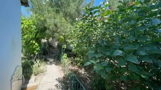 КристОля - 30