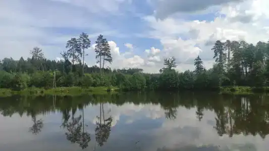 Рождественские пруды - 20