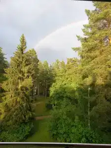 Белое солнце - 28