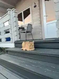 Веселовка Парк - 70