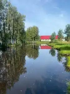 Австралийский хутор - 1