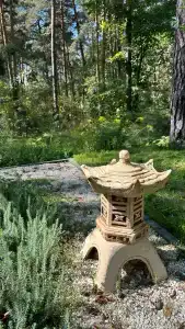 Лесная - 13