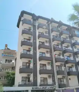 Rosella - 30