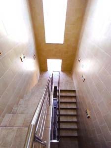 Тапиау - 8