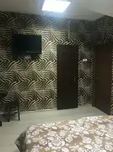 Кингфишер - 43