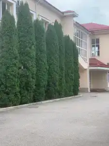 Санаторий им. С.М. Кирова - 97