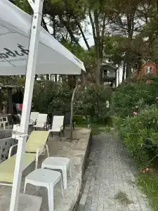 Mana-Mana - 7