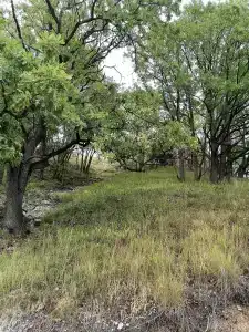 Лисья Нора - 57