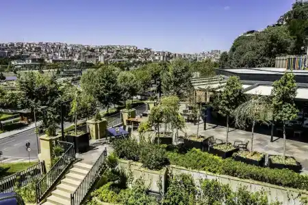 Clarion Golden Horn - 76