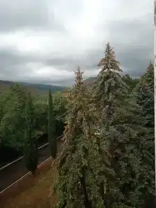 Бетта - 67