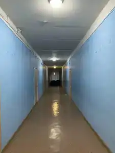 Тонус - 2