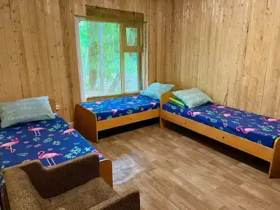 Парус - 81