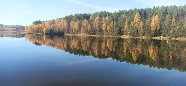 Лесная сказка - 22