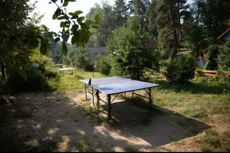 Лебяжье - 39