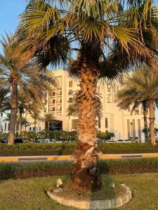 Palace Beach Resort - 66