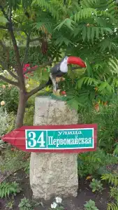Ивушка - 6