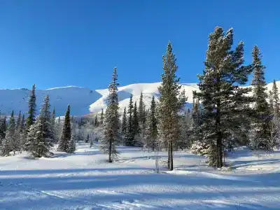 Куэльпорр - 65