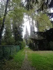 Анжерский - 35