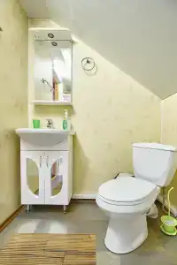 Шаробыки гостиничный комплекс - 30