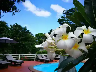 On The Hill Karon Resort - 4