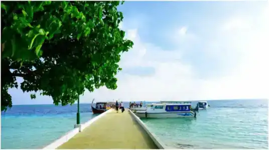 Biyadhoo Island Resort - 1