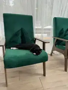 View Ga Волочаевка - 61