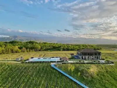 Chateau Vartsikhe - 8