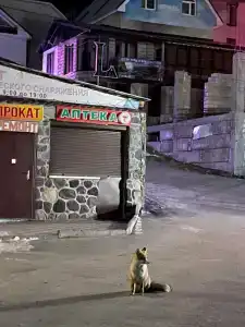 Нарат - 8