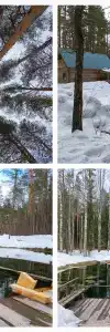 Пышкин луг - 5