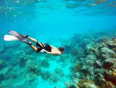 Bibee Maldives - 38