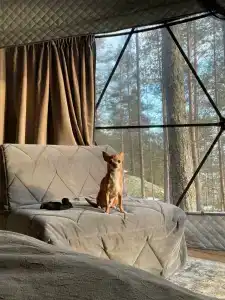 Villy Uley Karelia (Вили Улей Карелия) - 48