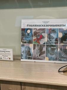 Поляна сказок - 72