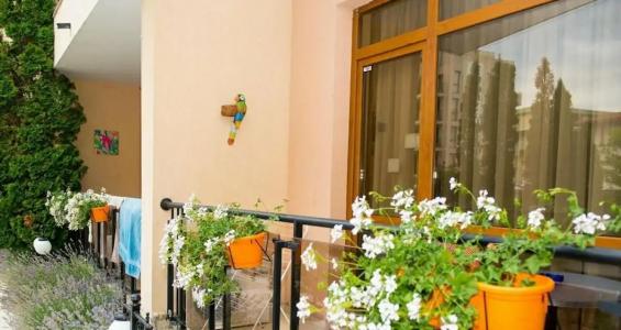 Tsb Sunny Victory - 15