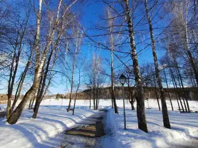 Усадьба Мосоловых - 87