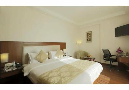 Regenta Central Jal Mahal, Jaipur - 64