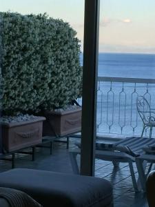 Bellevue Suite - 36