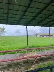 Страусиная ферма Экзотик - 31