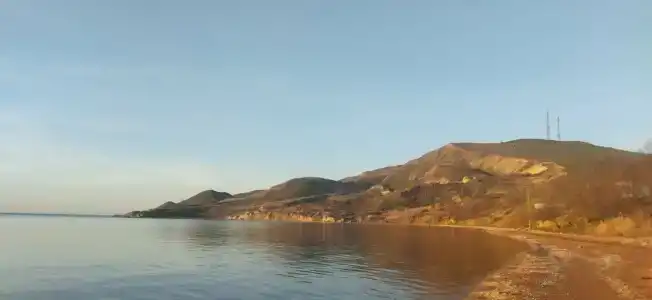 Амбассадор - 60