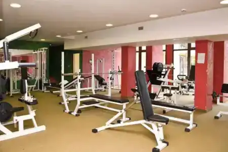 Hrizantema - All Inclusive - 22