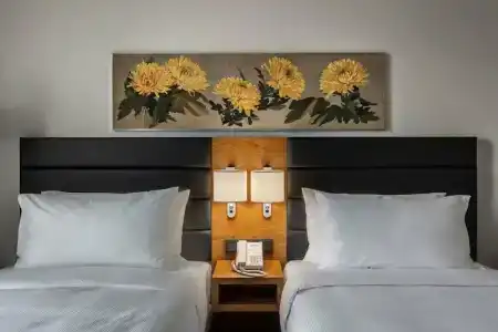 Hilton Garden Inn Tbilisi Chavchavadze - 8