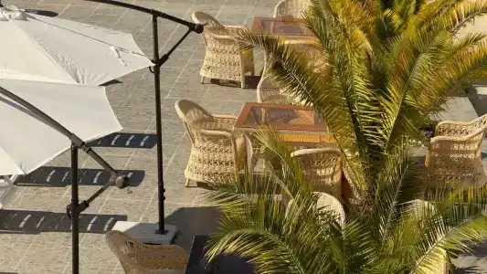 Грейс Бриз - 27