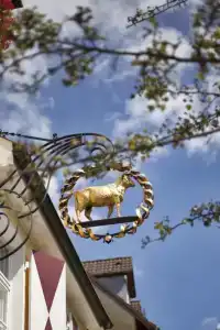 Das Goldene Lamm Aalen - 1