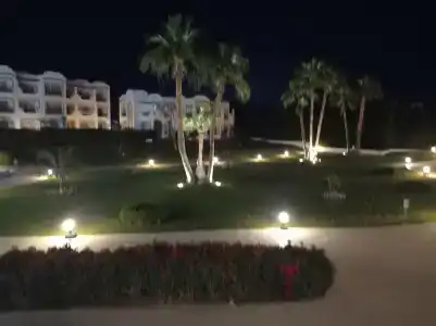 Sunrise Remal Resort - 47