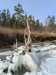 Мыс бык - 26