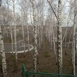 Альянс - 11