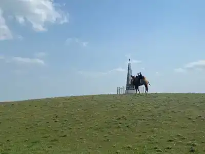 Степняк - 6