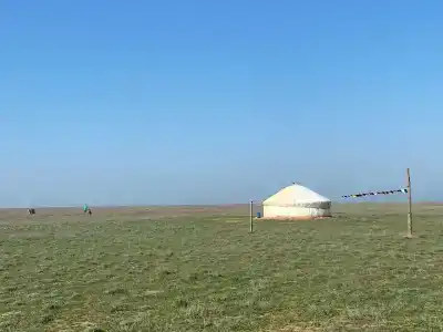 Степняк - 85